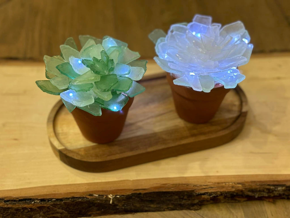 09/17/25 (6:30pm) Seaglass Trees