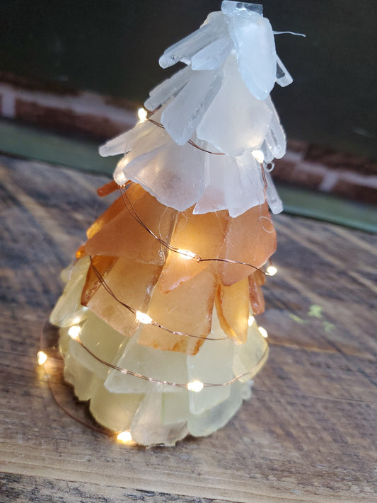 09/17/25 (6:30pm) Seaglass Trees
