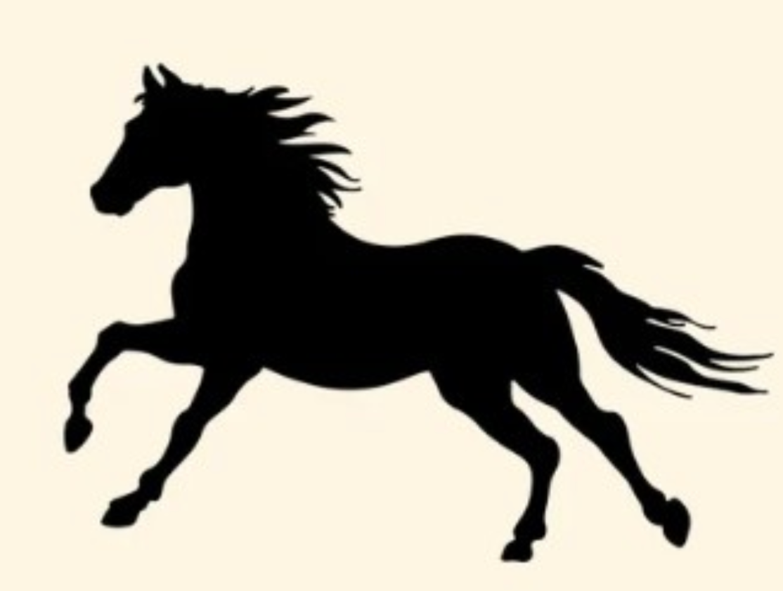 3/14/2026 (11:00A-1:00P) -  Emily's Birthday Celebration!  (PRIVATE EVENT)