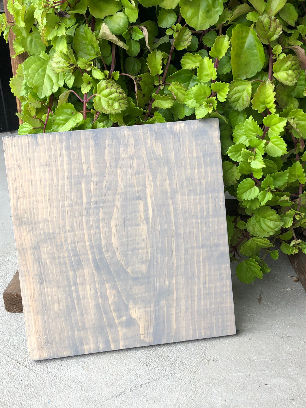 12x12 Square NO Frame